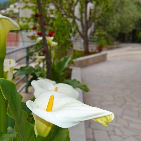 Tivat Apartments Exterior photo