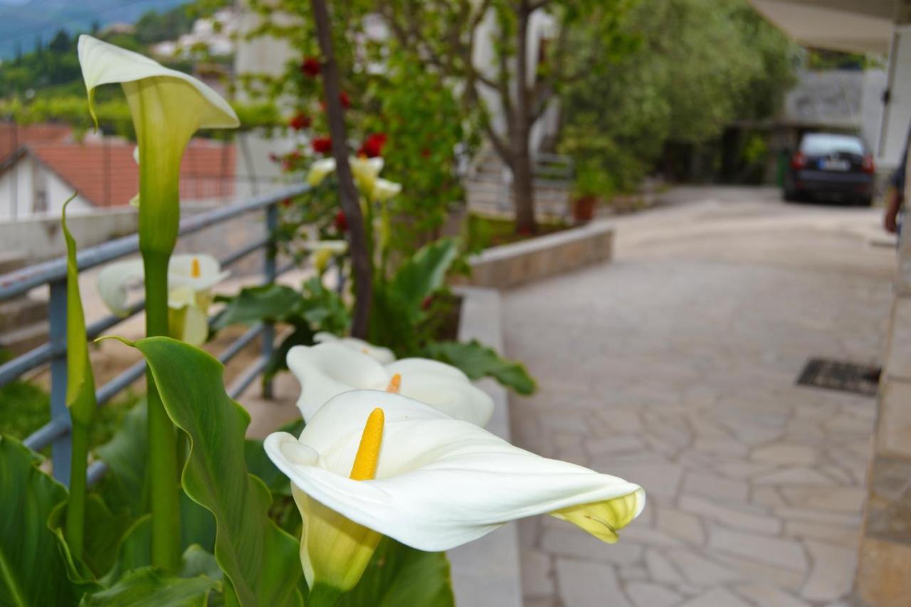 Tivat Apartments Exterior photo